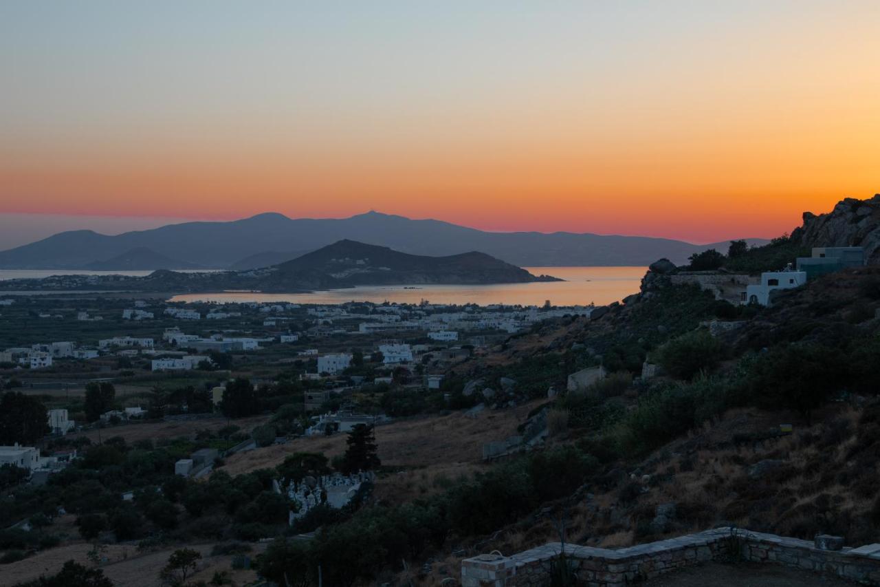 Alta Vista Naxos Aparthotel Naxos City Bagian luar foto