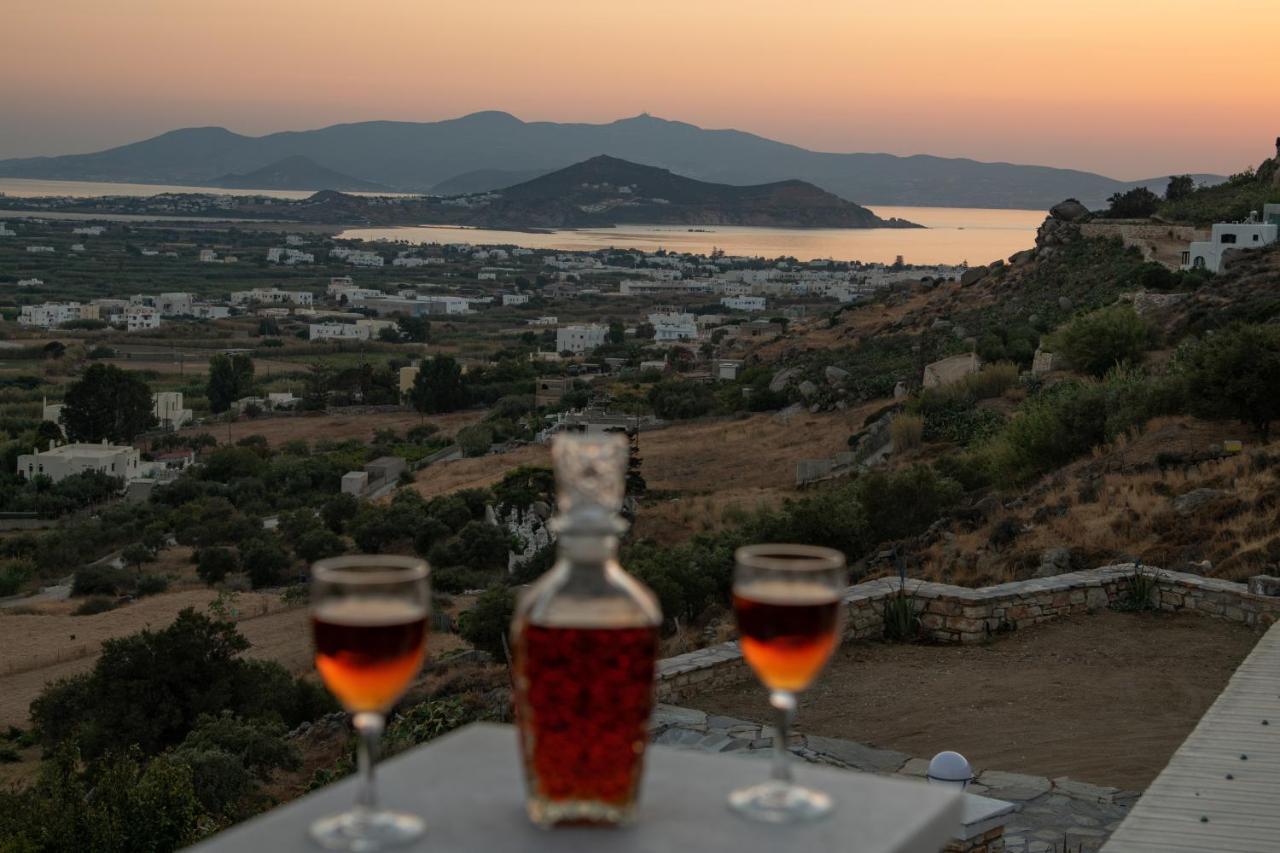 Alta Vista Naxos Aparthotel Naxos City Bagian luar foto
