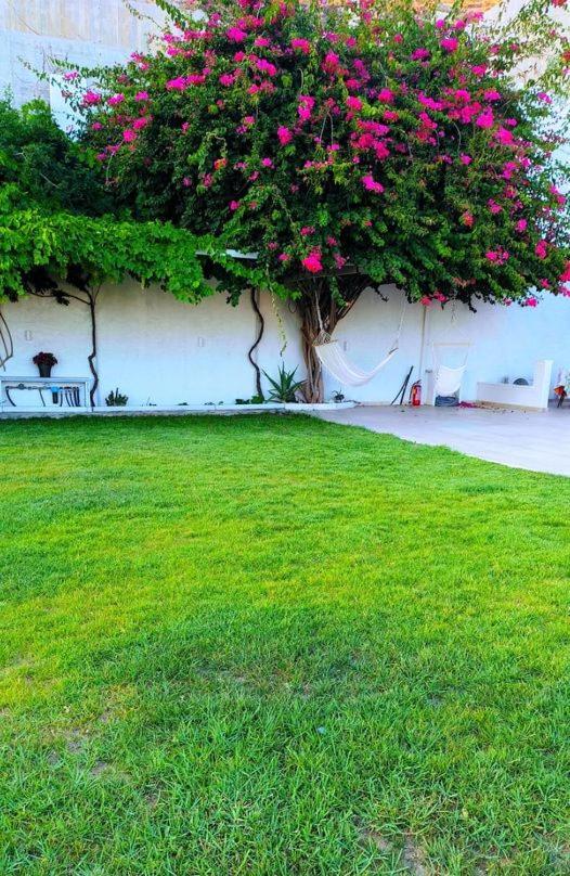 Alta Vista Naxos Aparthotel Naxos City Bagian luar foto